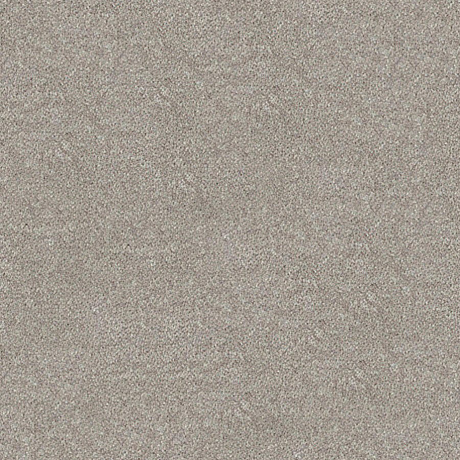 Darius Saxony Carpet