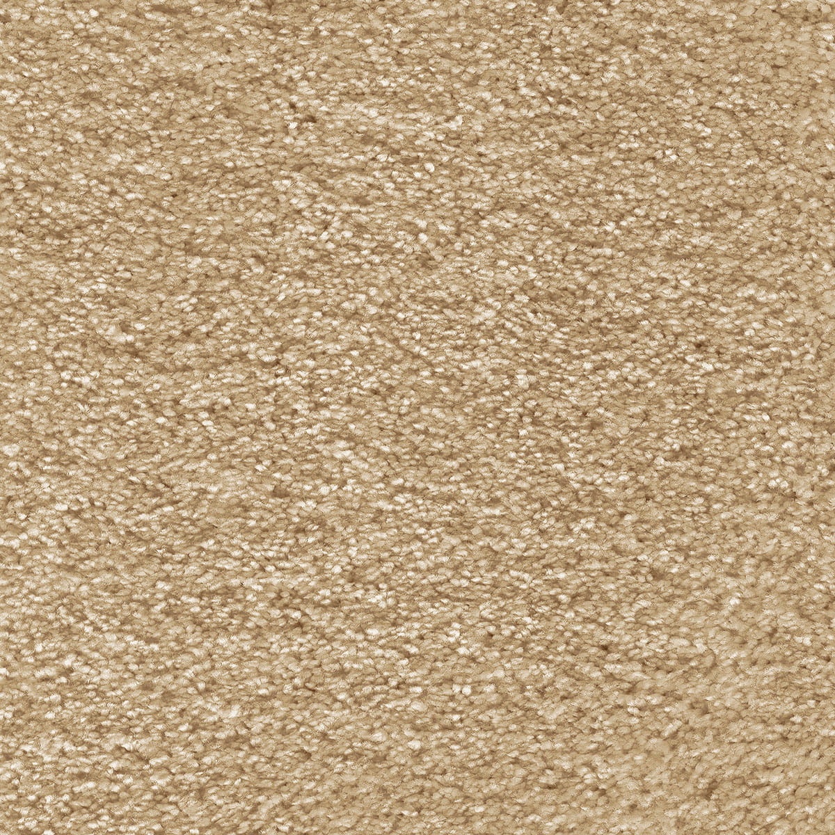 Aurelius Carpet
