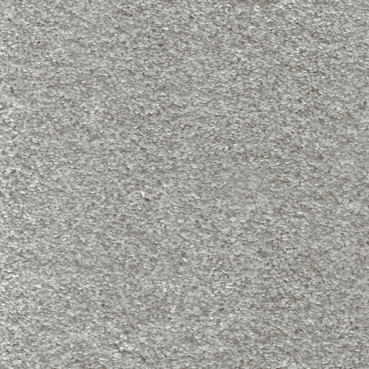Aurelius Carpet