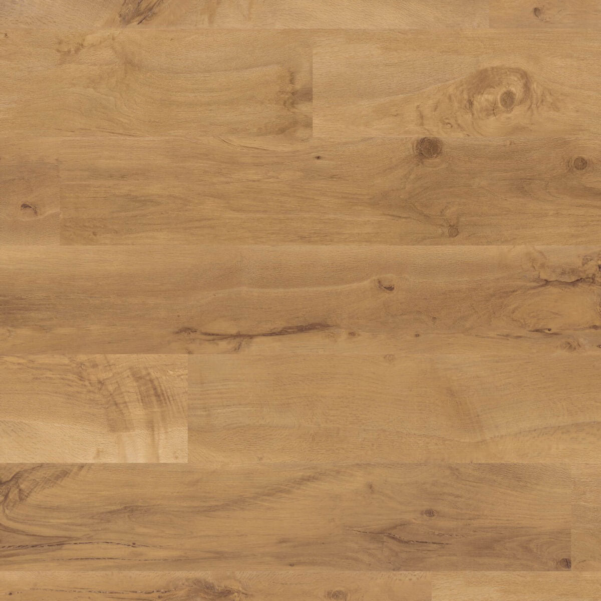 Karndean Van Gogh Gluedown Auckland Oak VGW52T