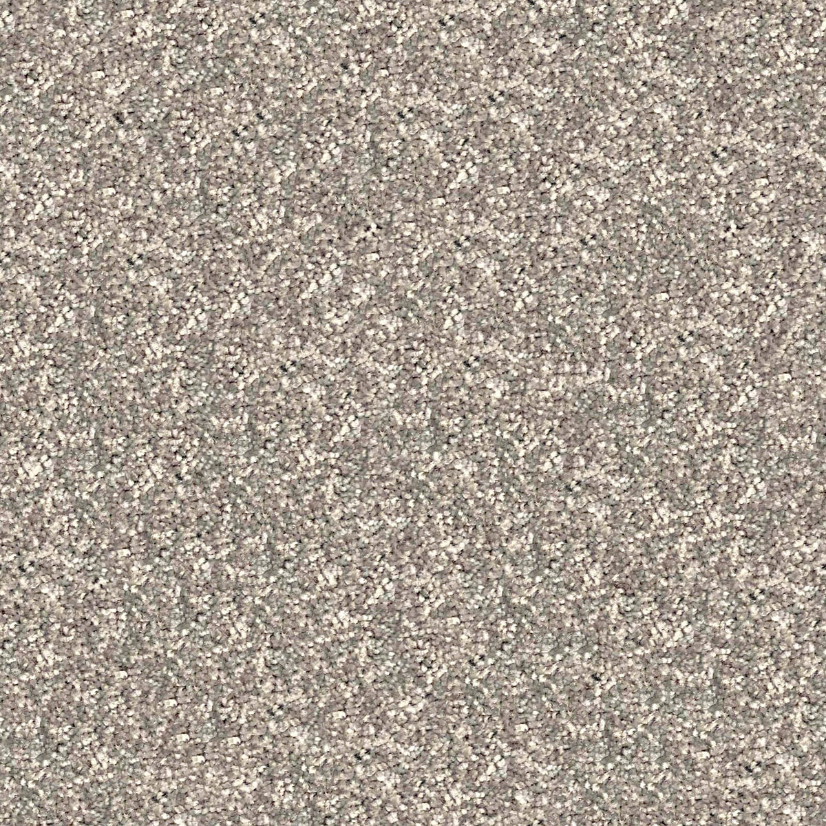 Berlin Saxony 1231 Coventry (1.65m x 5.00m) M018347