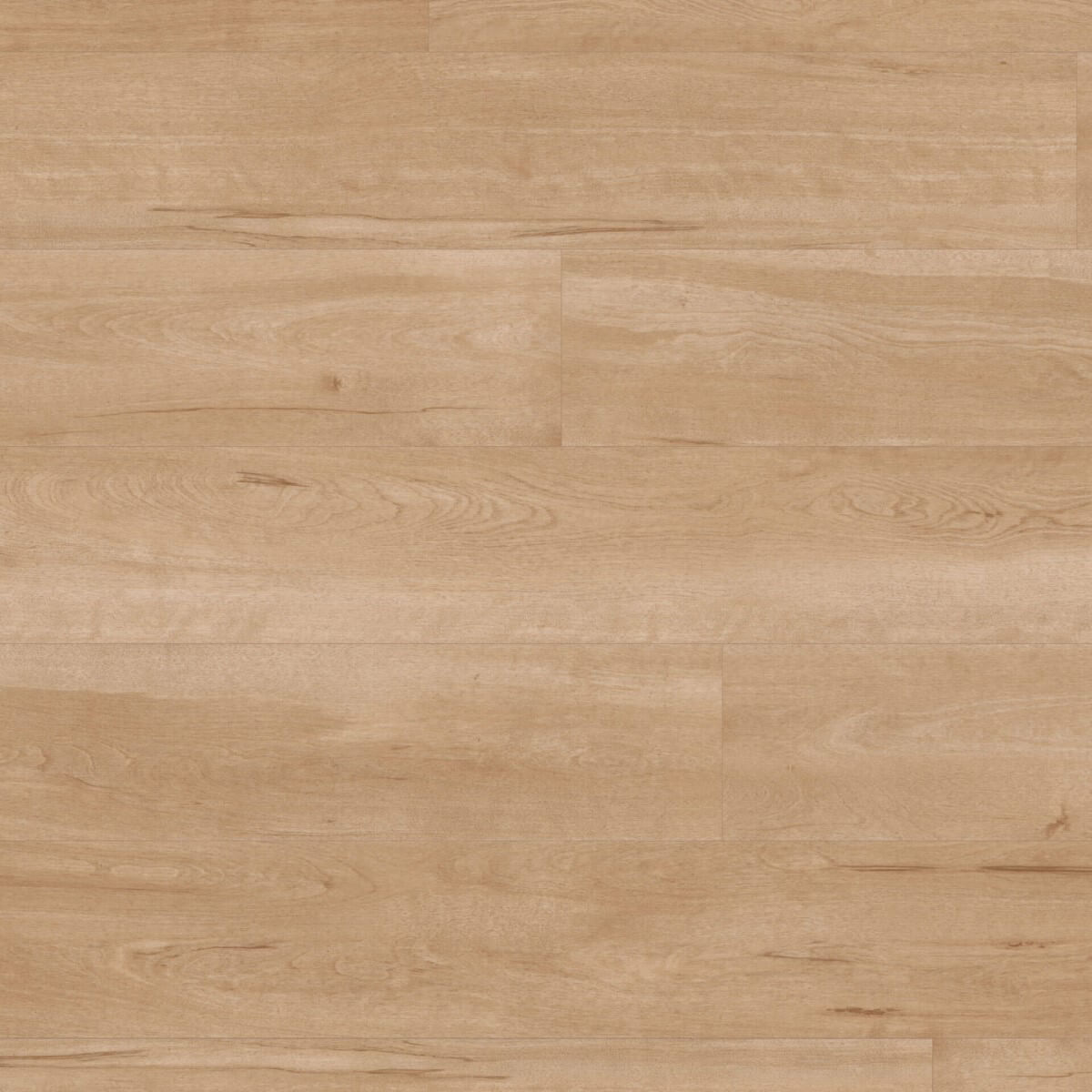 Karndean Van Gogh Gluedown Birch VGW84T