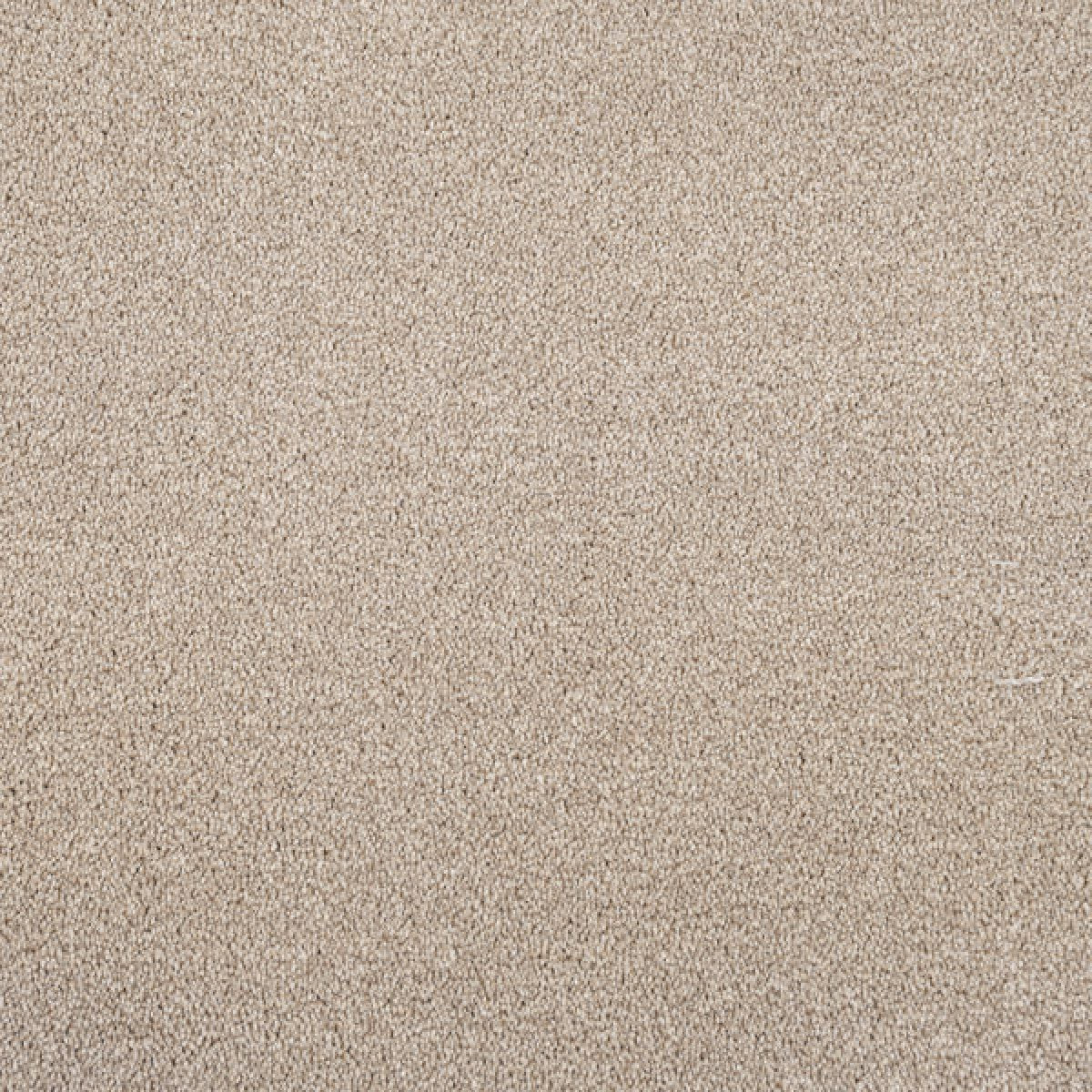 Cassius Saxony Carpet