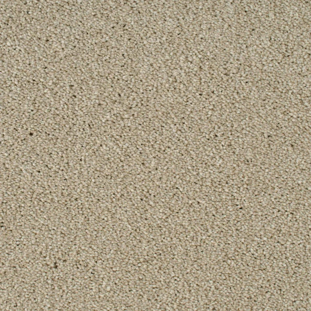 Cassius Saxony Carpet