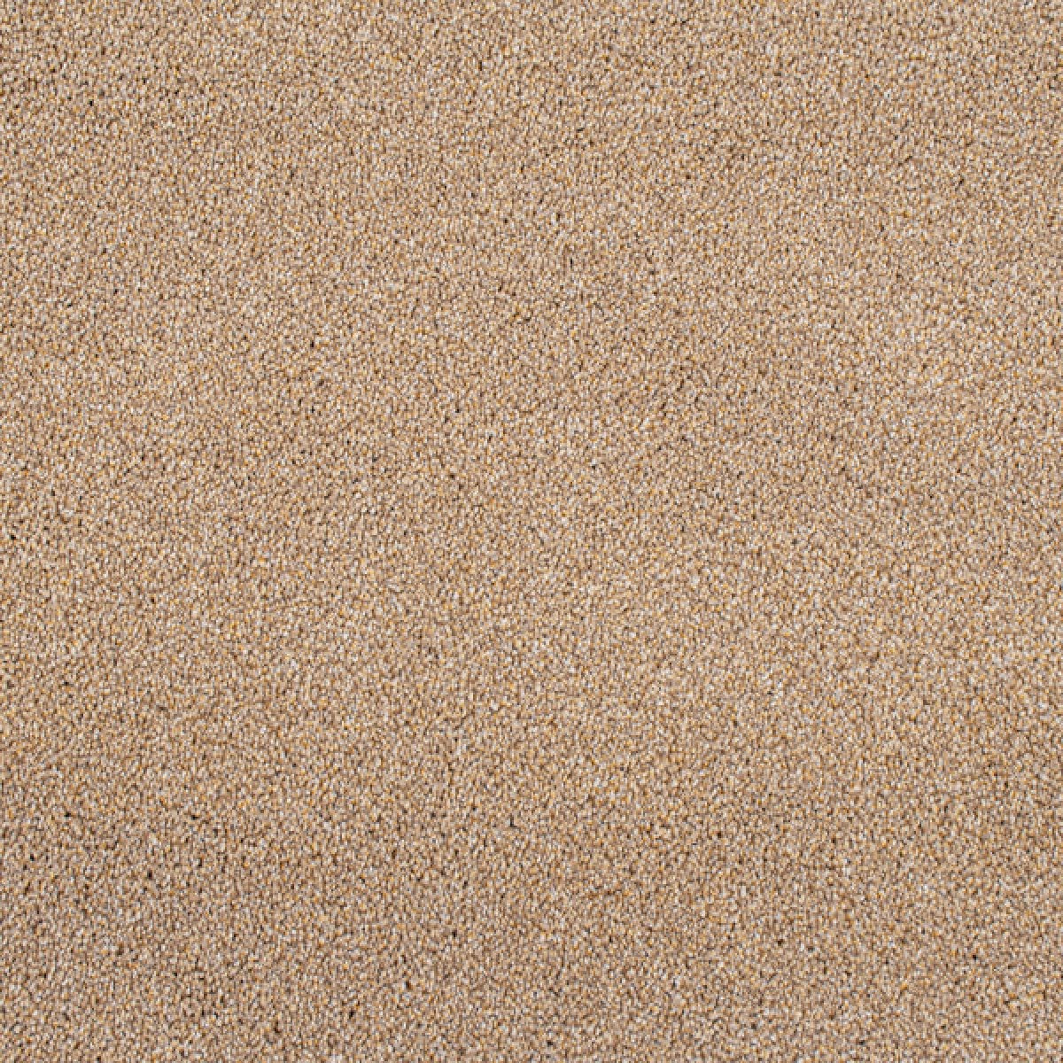 Cassius Saxony Carpet