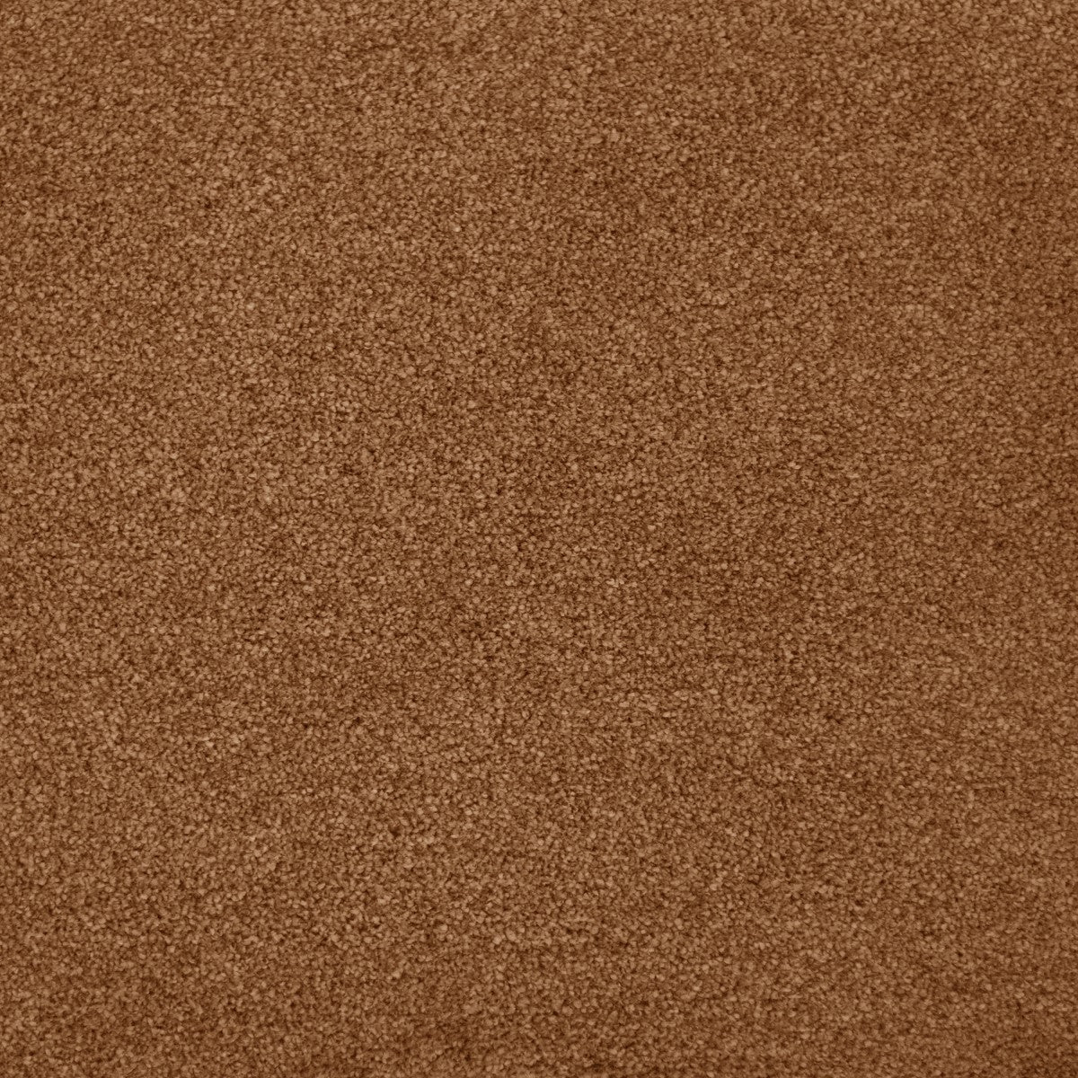 Cassius Saxony Carpet