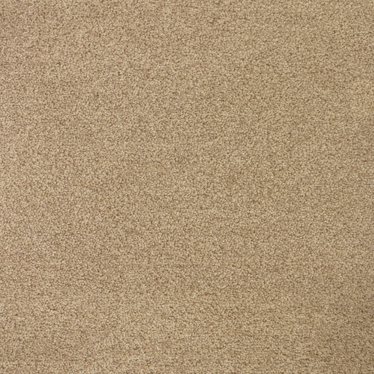 Cassius Saxony Carpet