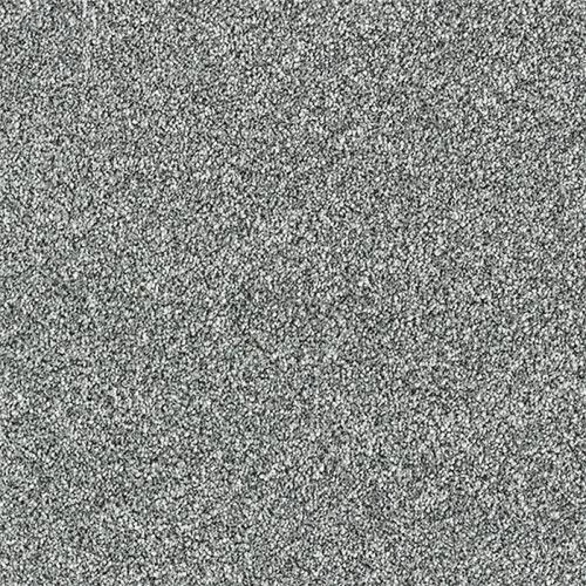 Stainfree Country Life Carpet