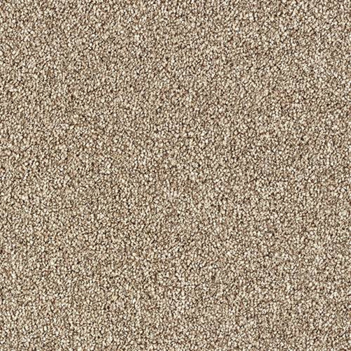 Stainfree Country Life Carpet