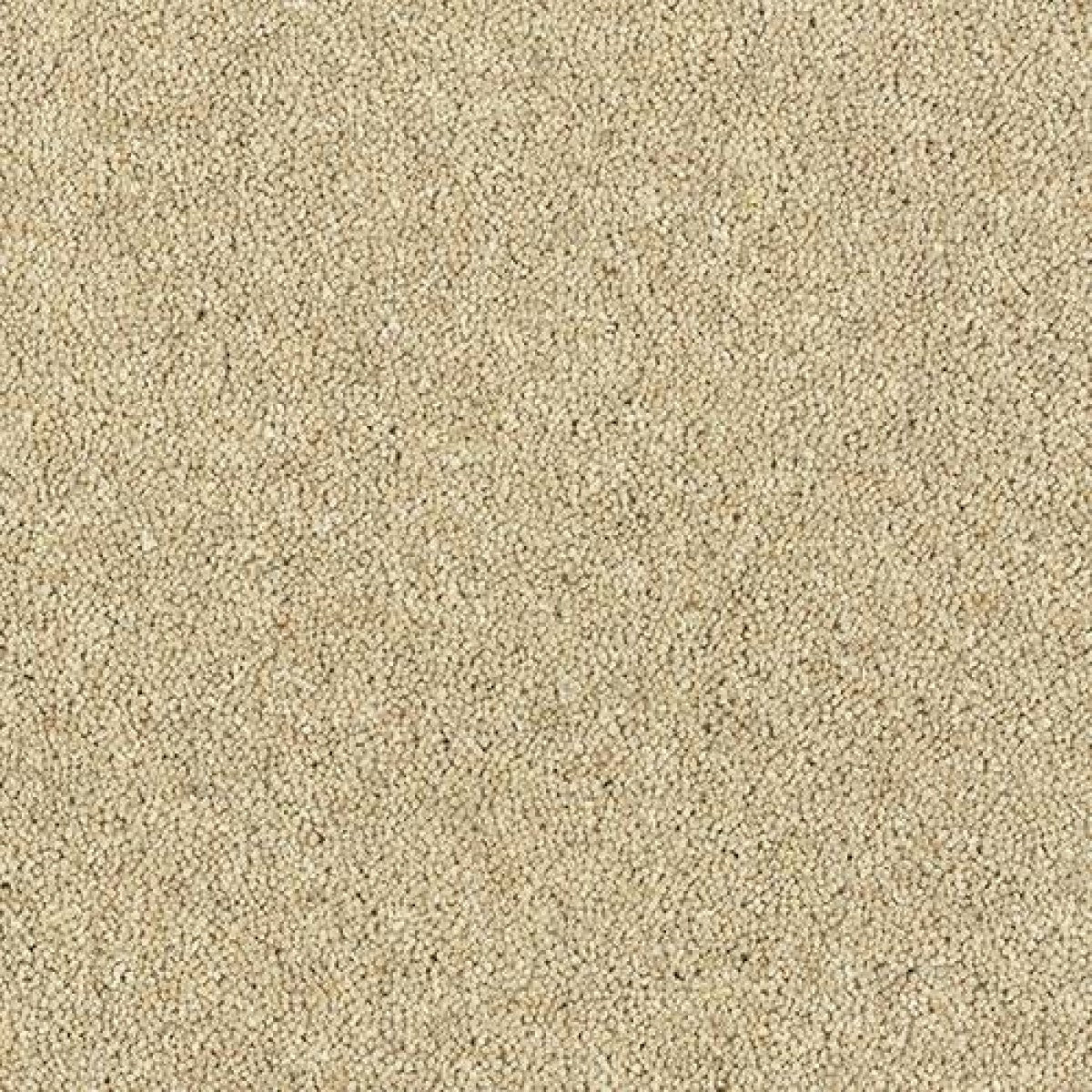 Royal Charter Deluxe Carpet