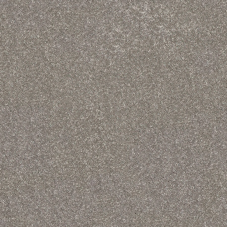 Caress Carpet