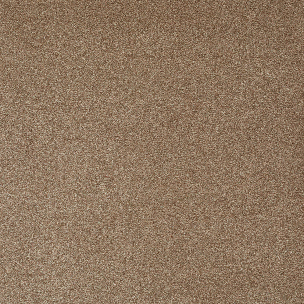 Himalaya Saxony 67 (4.25m x 4.00m) M017943