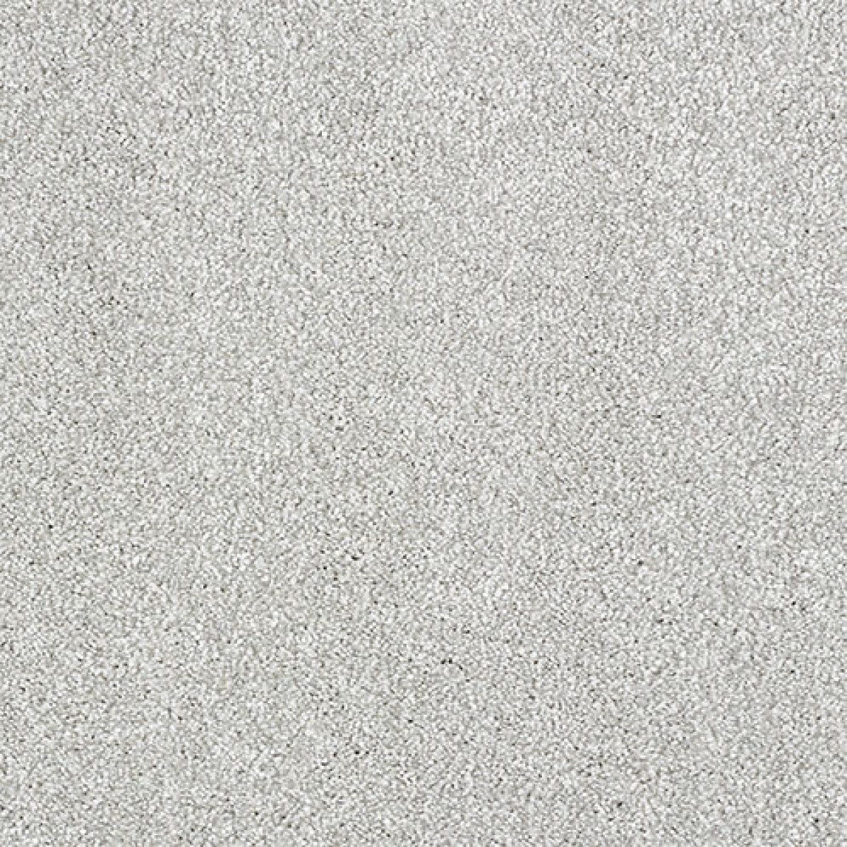 Indulgence Carpet