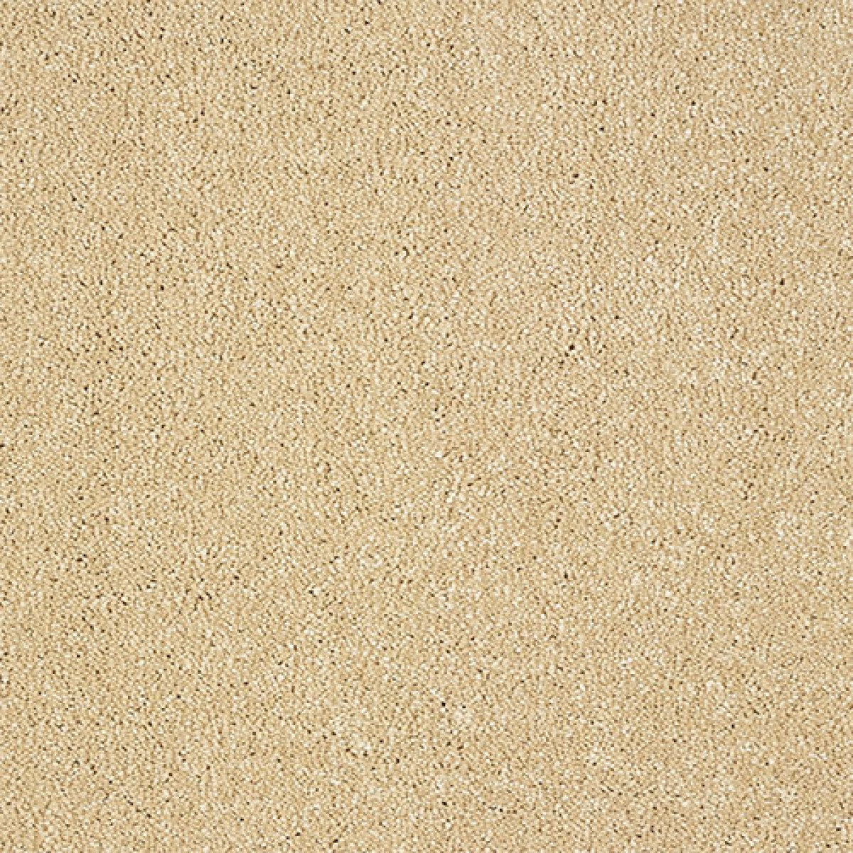 Indulgence Carpet