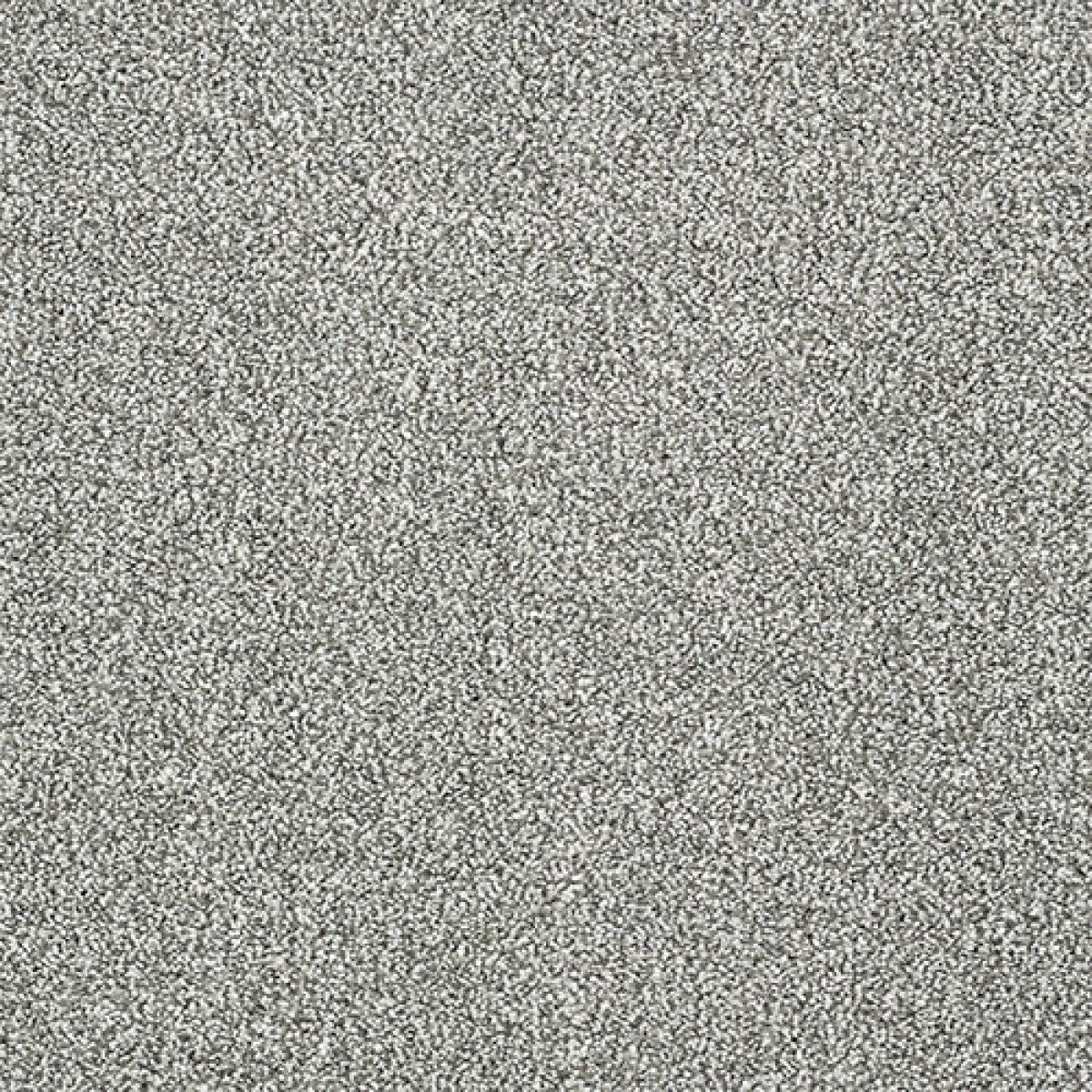 Indulgence Carpet