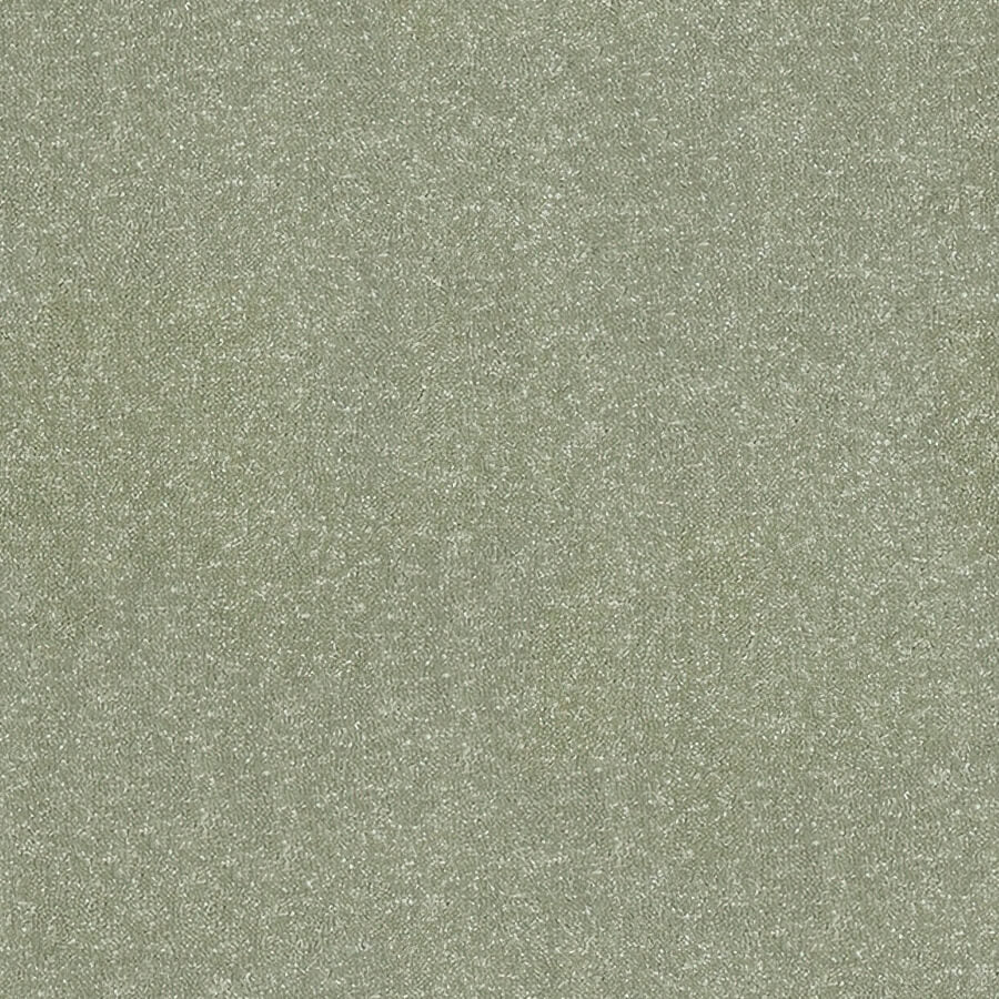 Stainfree Ultra Carpet