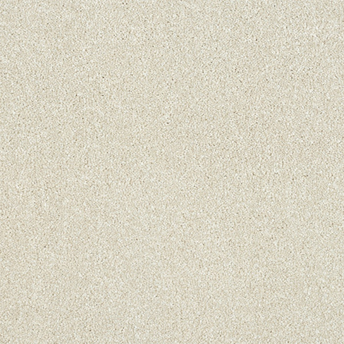 Maximus Carpet