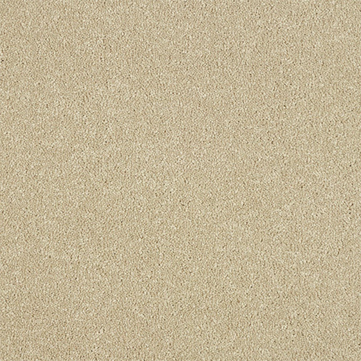 Maximus Carpet