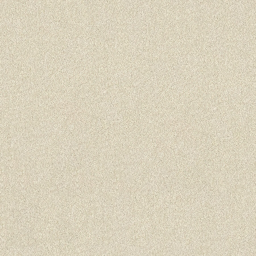 Stainfree Ultra Carpet
