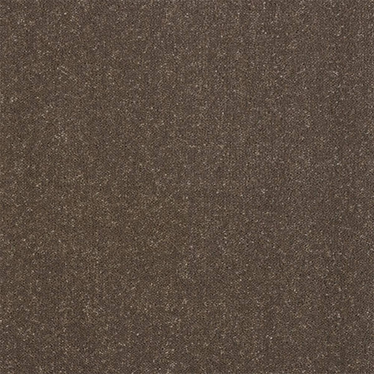 Pure Elegance Carpet