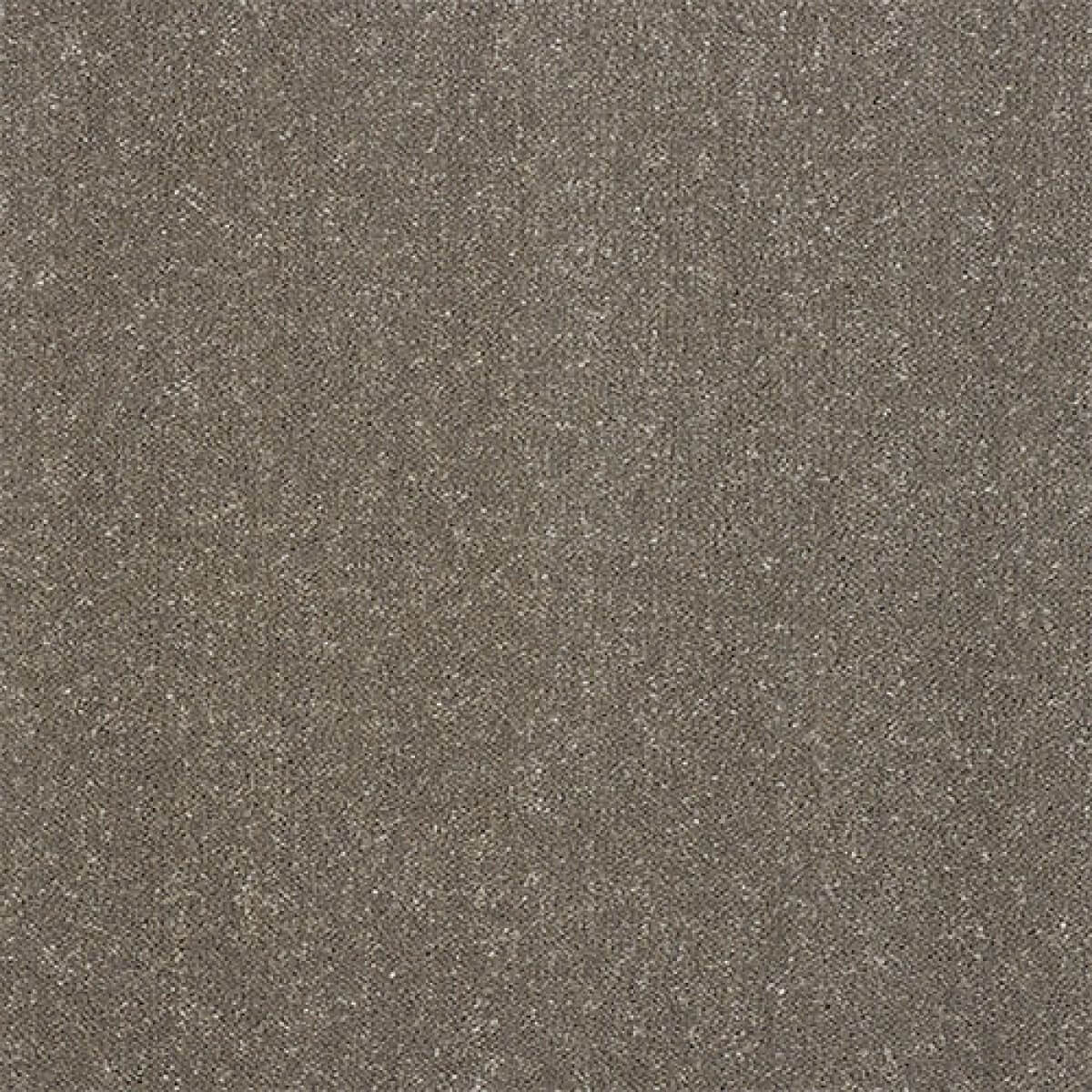 Pure Elegance Carpet