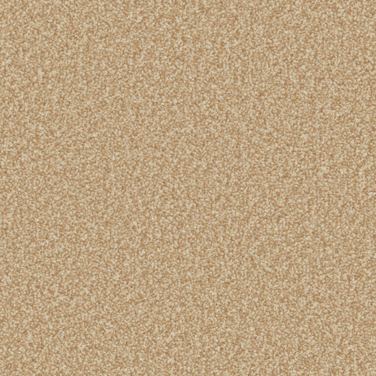 Rocky Ultra Foxton Flax (3.55m x 5.00m) M016231