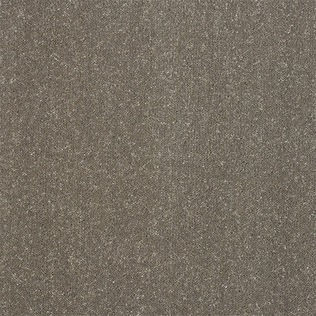 Captivation Carpet
