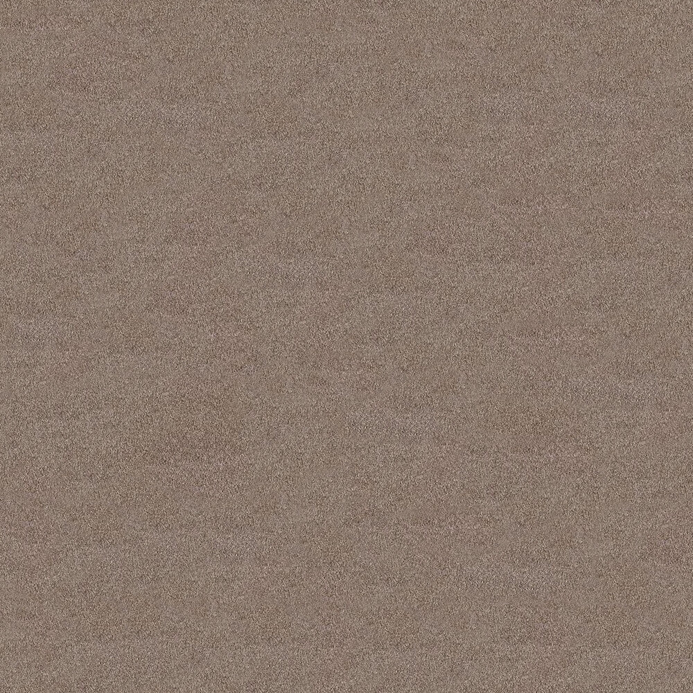 Serenity Carpet