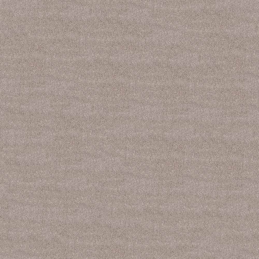 Serenity Carpet