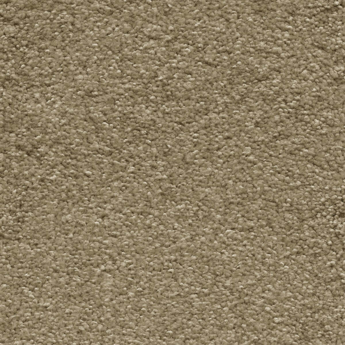 Sirius Carpet
