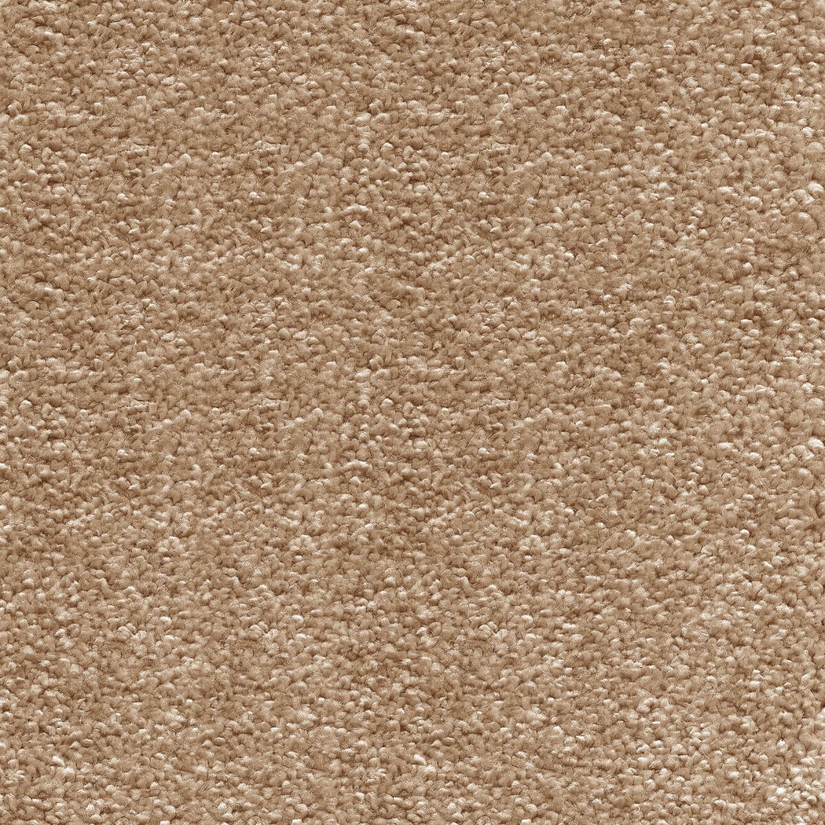 Sirius Carpet