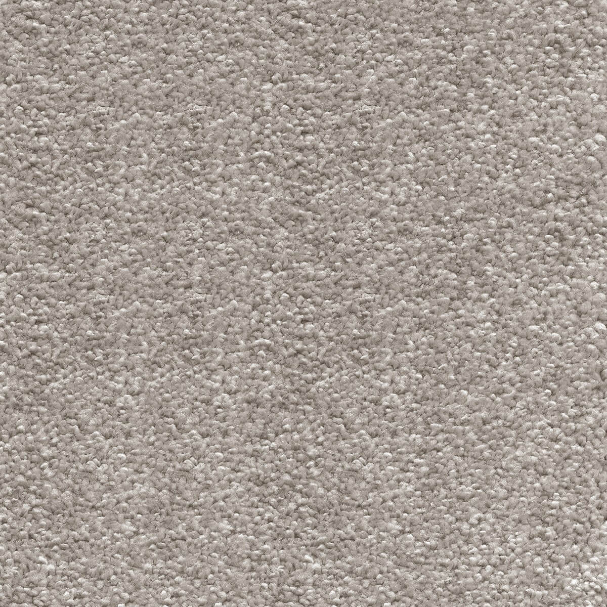 Sirius Carpet