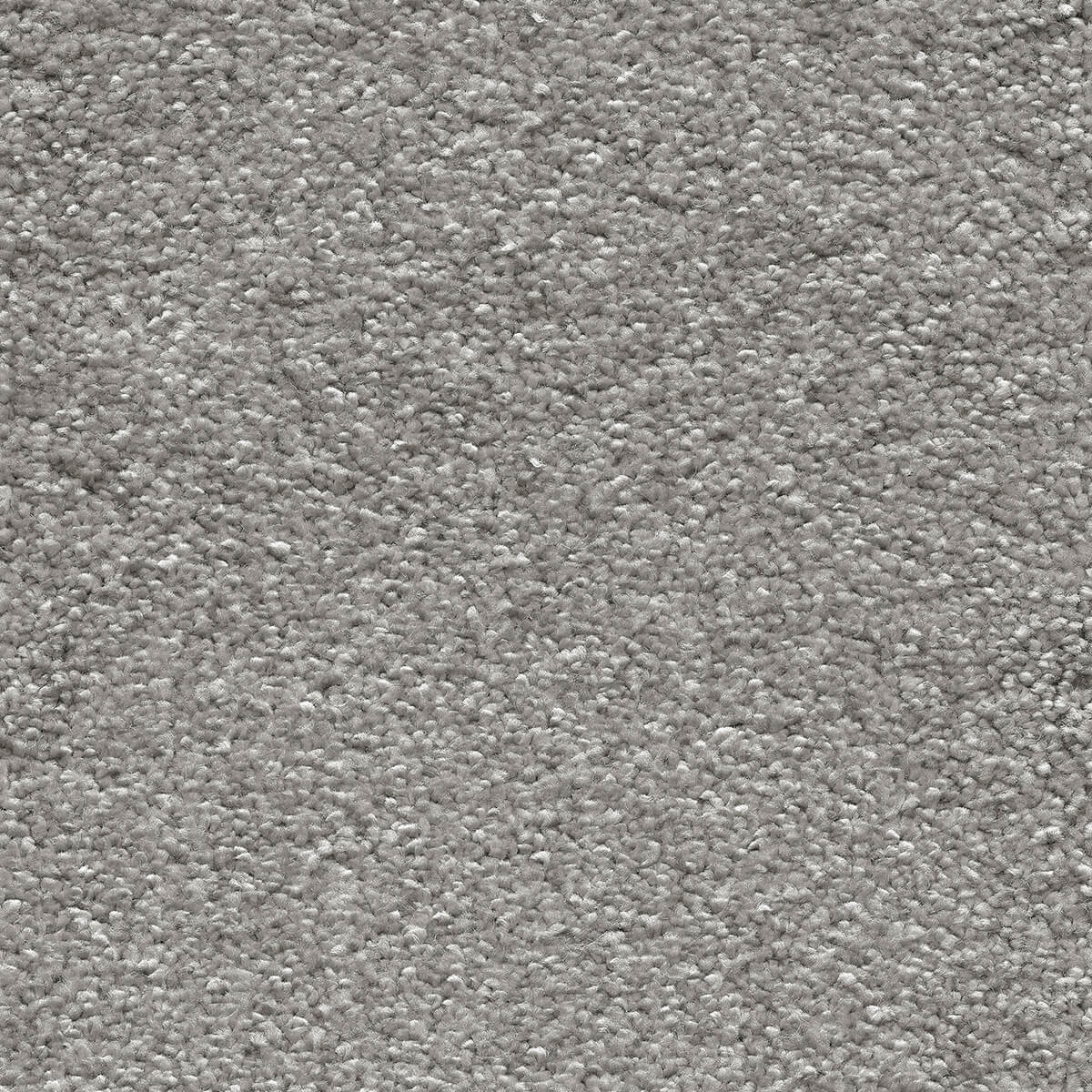 Sirius Carpet