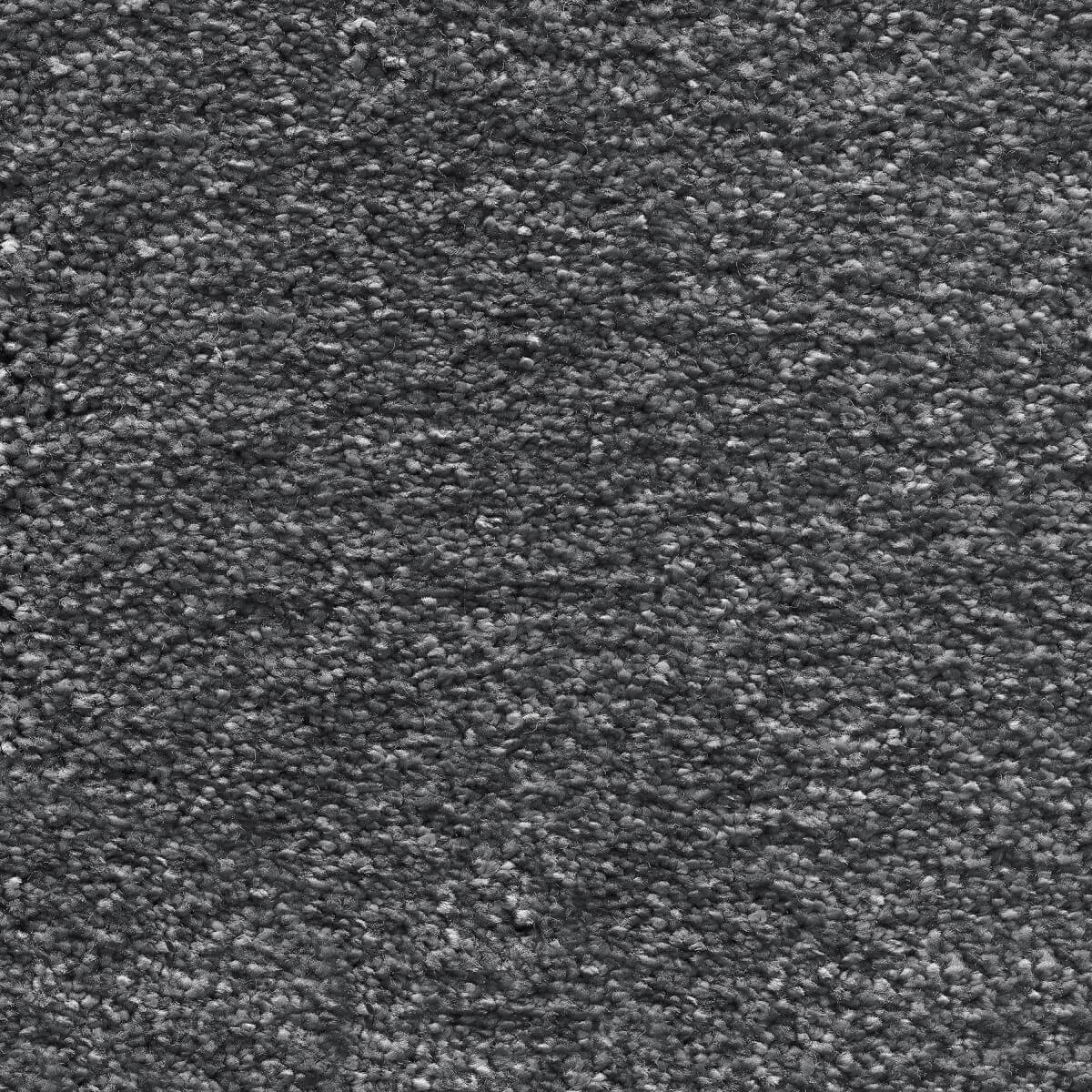 Sirius Carpet