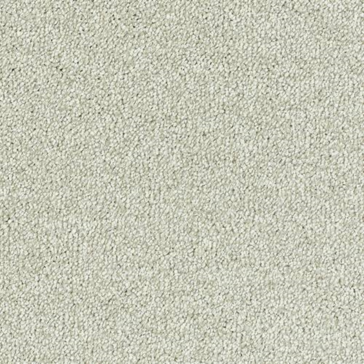Sophisticat Carpet