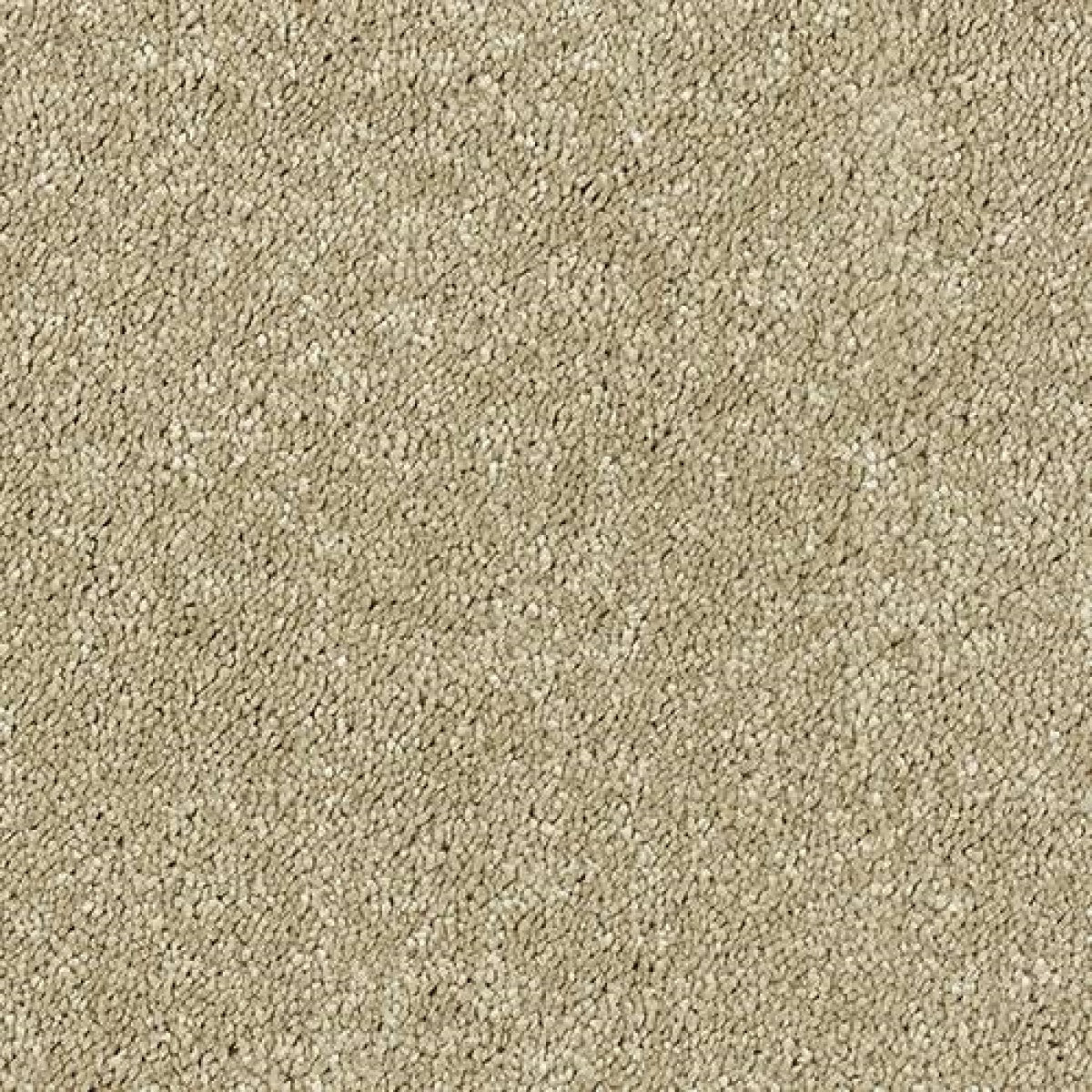 Sophisticat Carpet