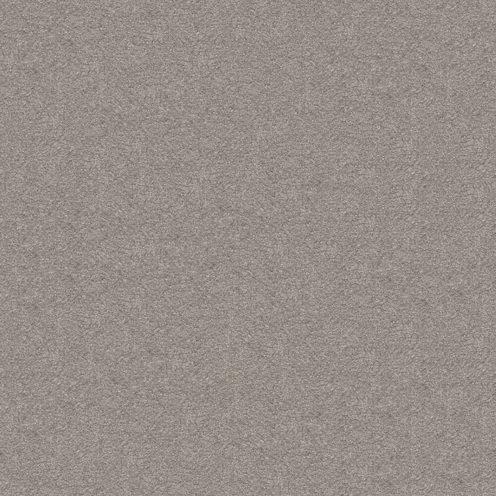 Subtlety Carpet