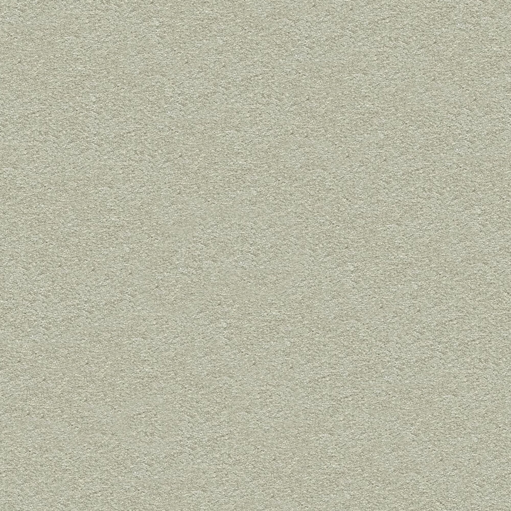 Suspense Carpet