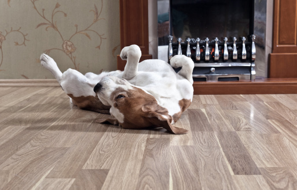 Flooring Trends 2022 - 2023