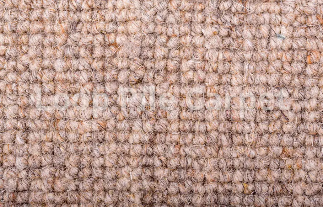 Are Loop Pile Carpets Suitable for Pets?