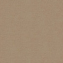 Severus Carpet