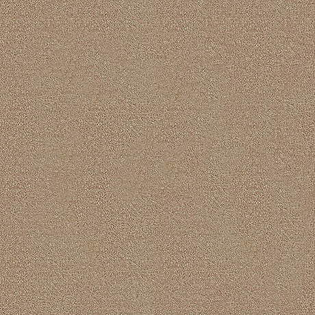 Severus Carpet