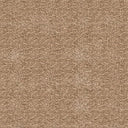 Orion Saxony Carpet