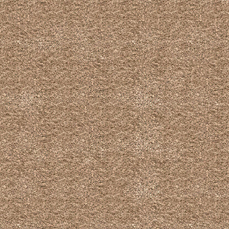 Orion Saxony Carpet