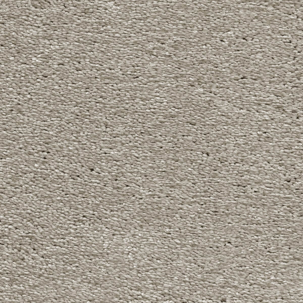 Centurion Carpet