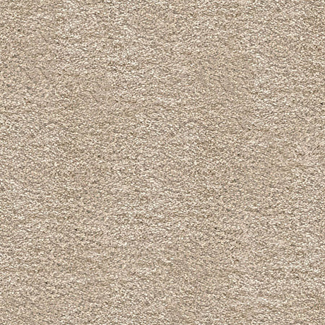 Tiberius Carpet