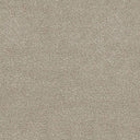 Severus Carpet