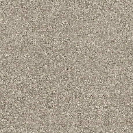 Septimus Carpet