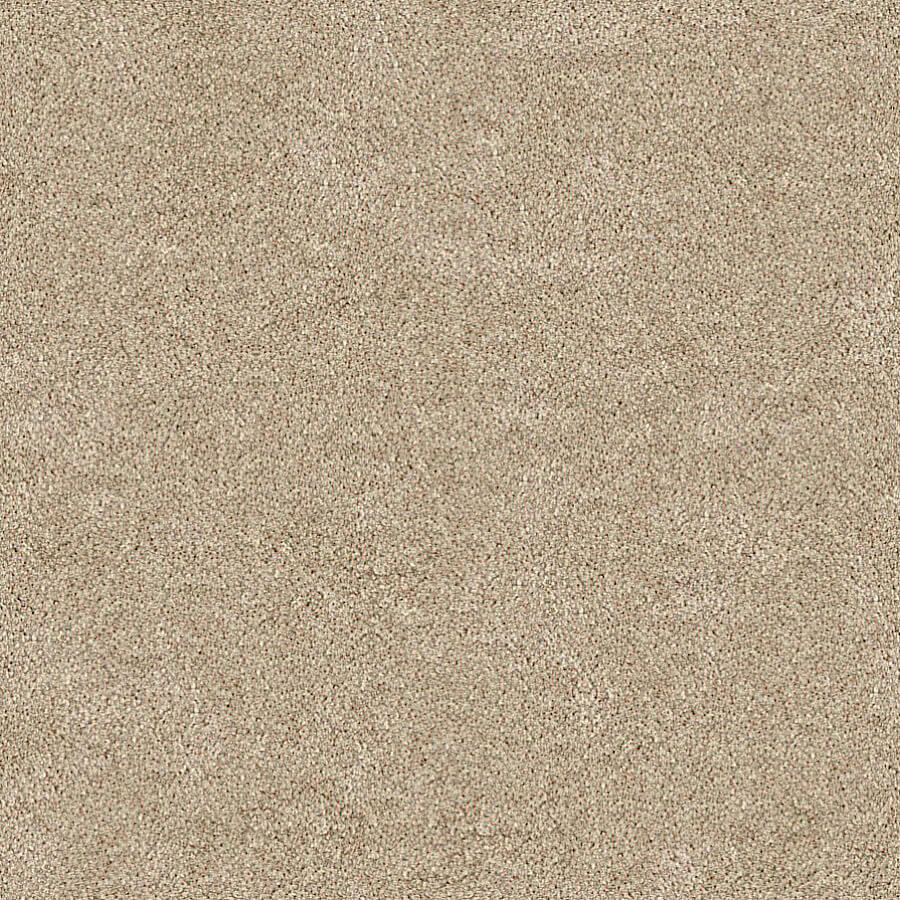 Darius Saxony Carpet