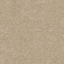 Darius Saxony Carpet